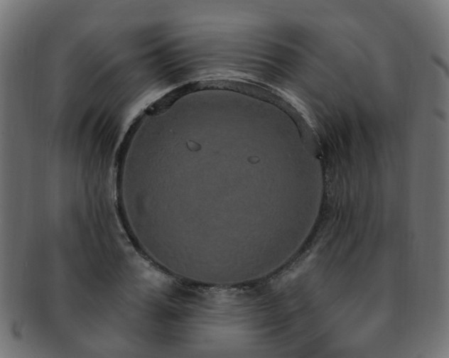 X0000092320987200709141410