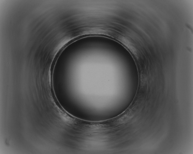 X0000092320988200709141410