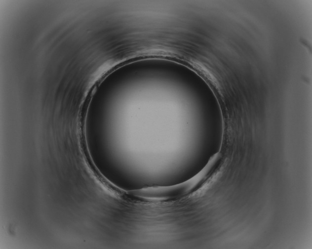 X0000092320989200709141410