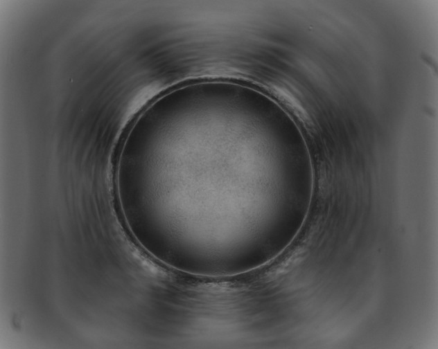 X0000092320990200709141410
