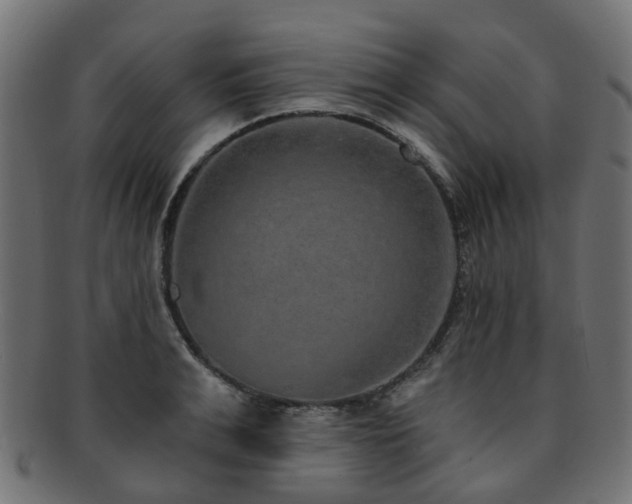 X0000092320991200709141410