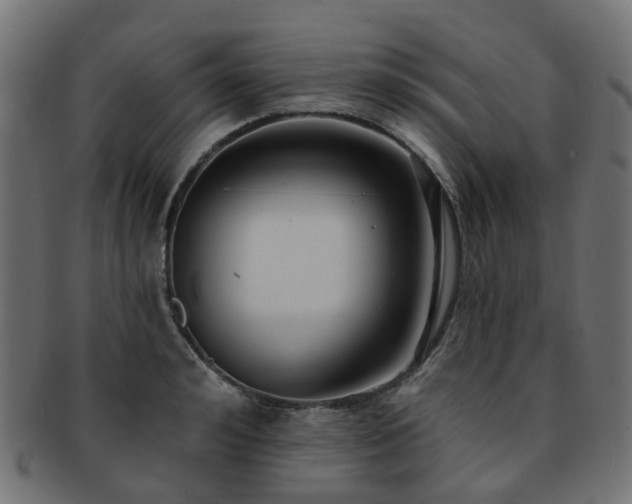 X0000092320992200709141410