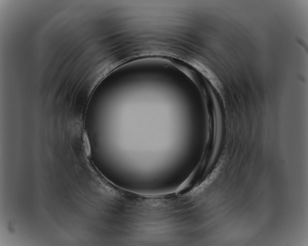 X0000092320993200709141410