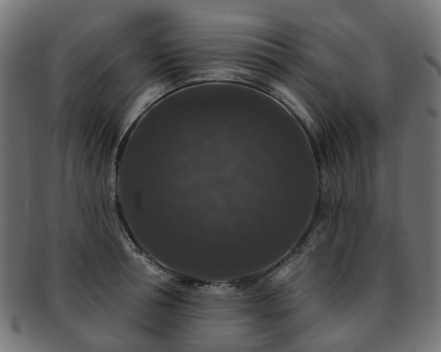 X0000092320994200709141410