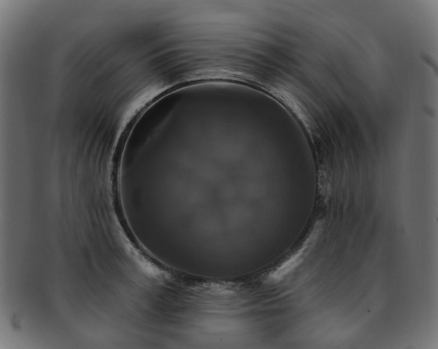 X0000092320995200709141410