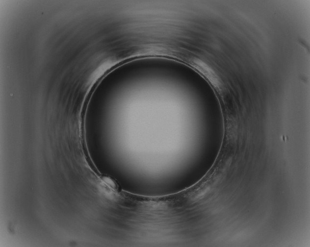 X0000092320996200709141410