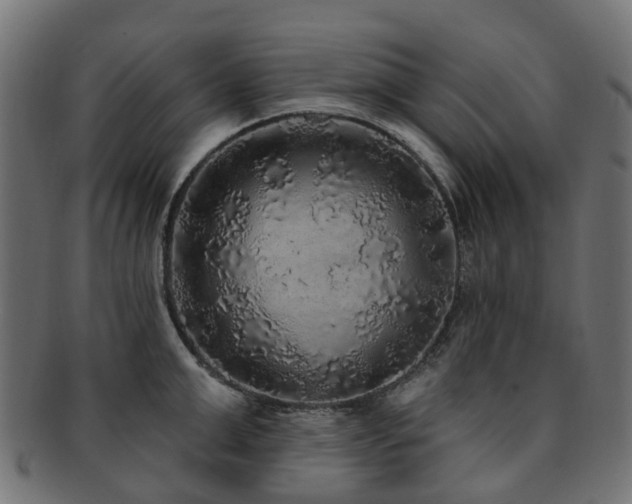 X0000092320999200709141409