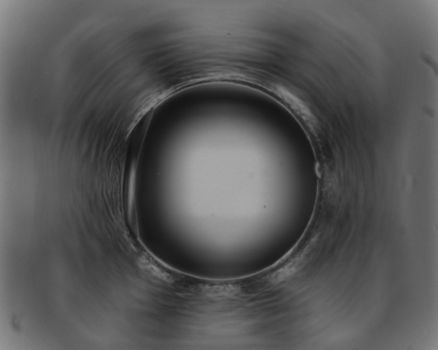 X0000092321001200709141409
