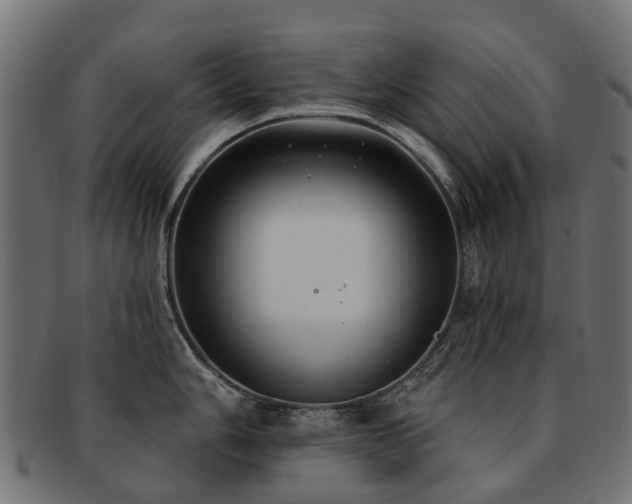X0000092321006200709141409