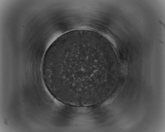 X0000092321007200709141409