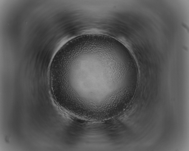 X0000092321008200709141409