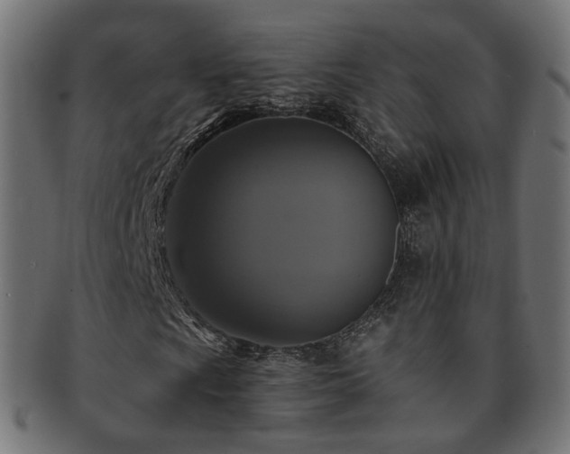 X0000092321009200709141409