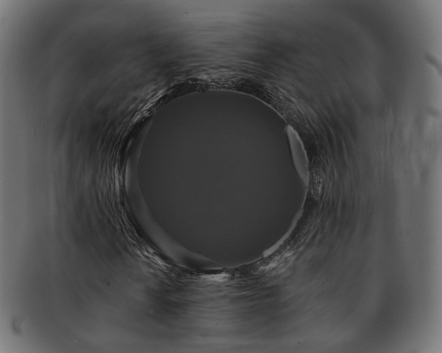 X0000092321010200709141409