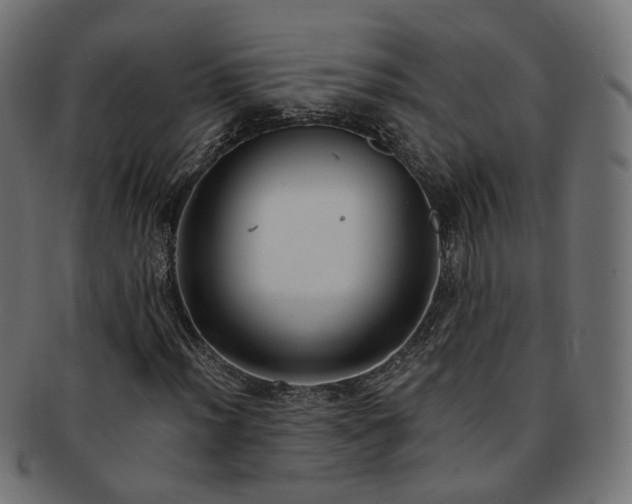 X0000092321012200709141409
