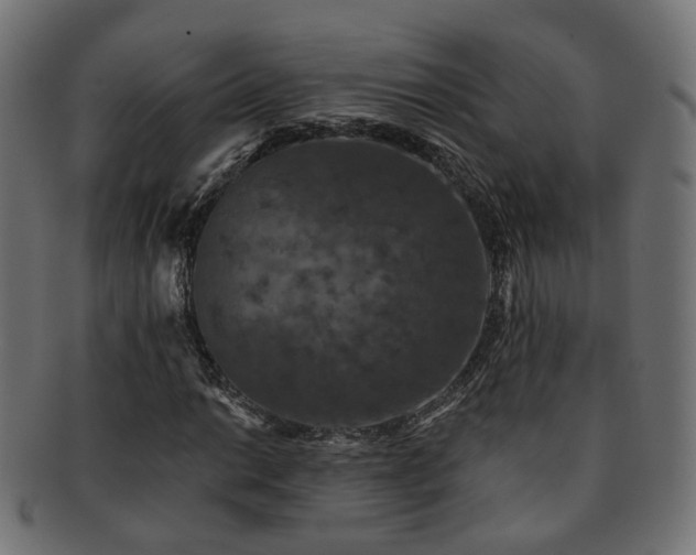 X0000092321014200709141409