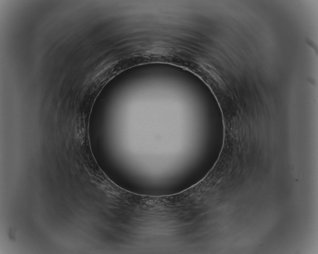 X0000092321015200709141409