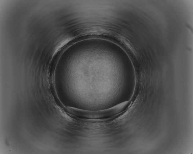 X0000092321018200709141409