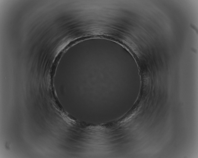 X0000092321023200709141409