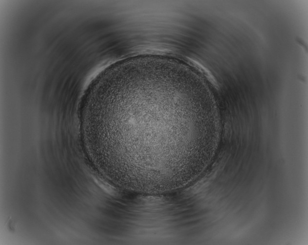 X0000092321027200709141409