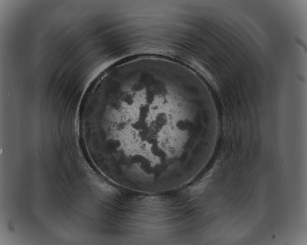 X0000092321028200709141409