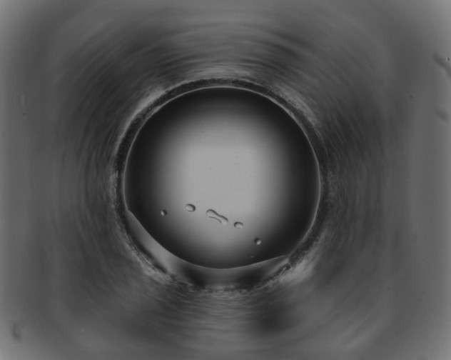 X0000092321029200709141409