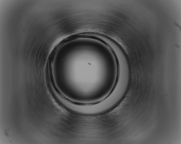 X0000092321030200709141409