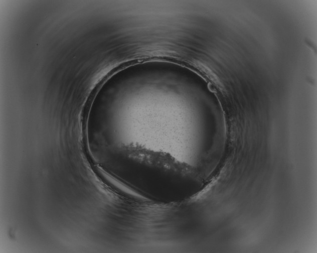 X0000092321031200709141409