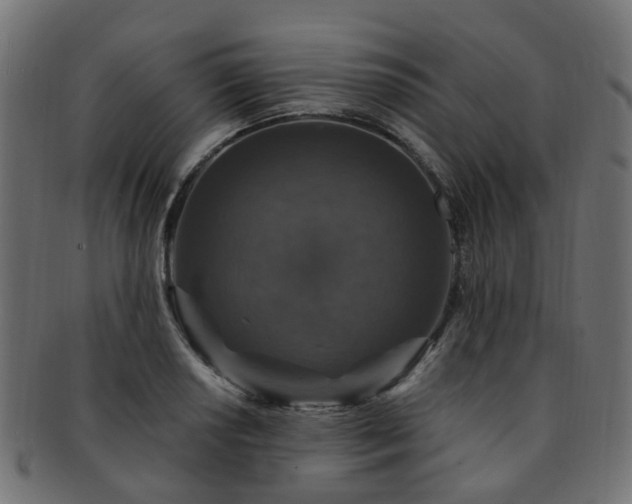 X0000092321034200709141409