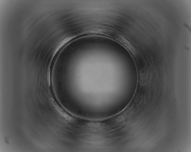 X0000092321036200709141409