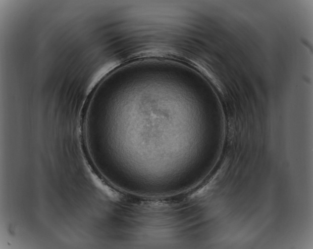 X0000092321042200709141409
