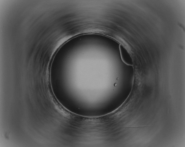 X0000092321044200709141409