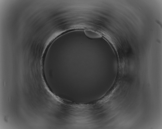 X0000092321045200709141409