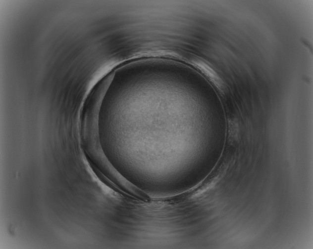 X0000092321046200709141409