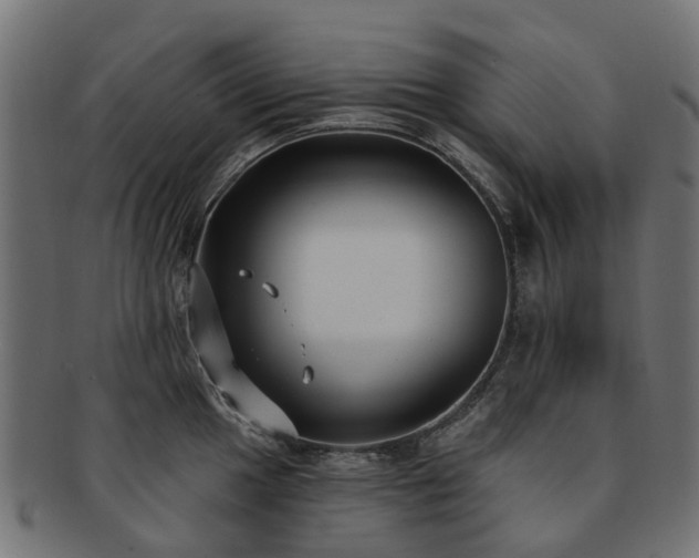 X0000092321049200709141409