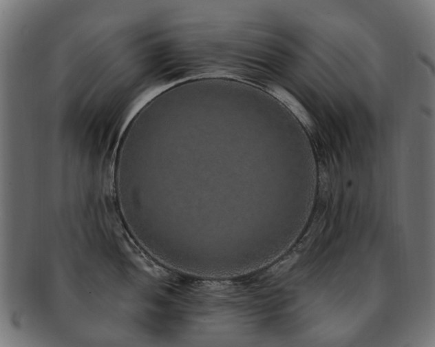 X0000092321052200709141409