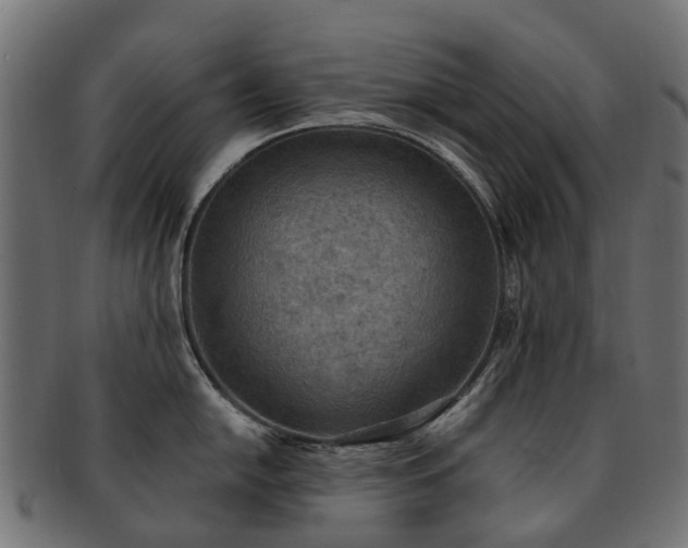 X0000092321054200709141409