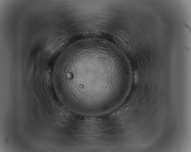 X0000092321059200709141409