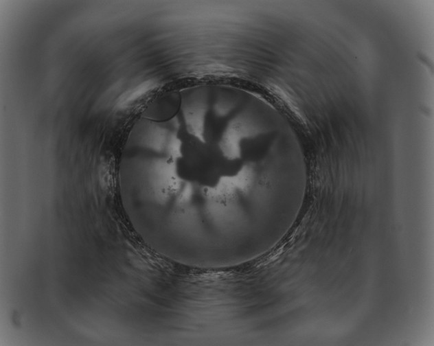X0000092321063200709141409