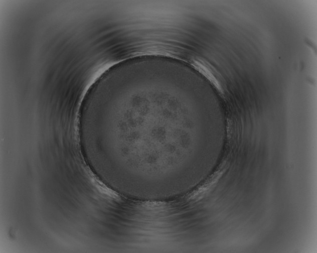X0000092321068200709141409