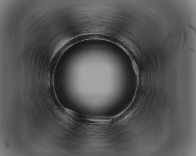 X0000092321069200709141409