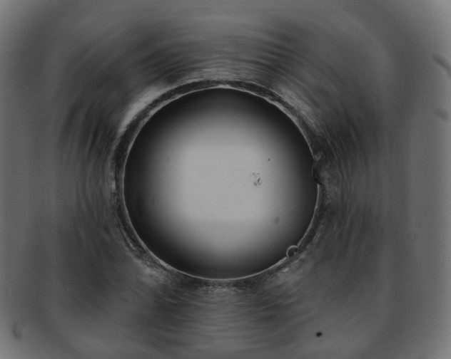 X0000092321070200709141409