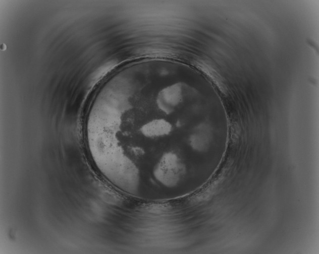 X0000092321074200709141409