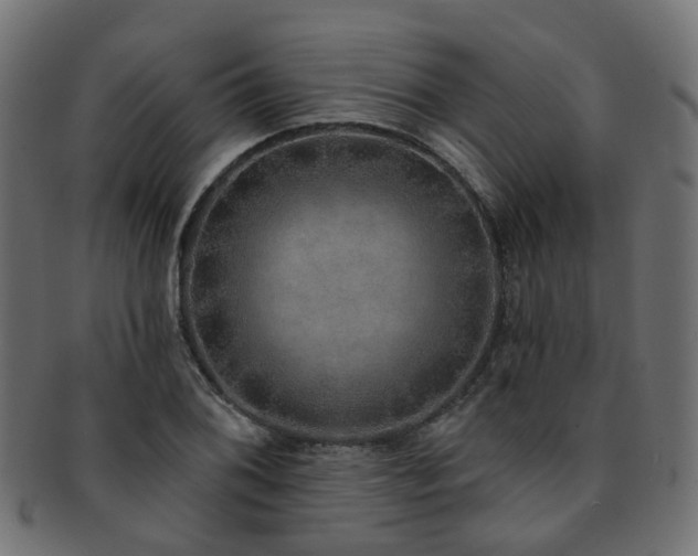 X0000092321076200709141409