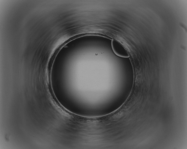 X0000092321080200709141409