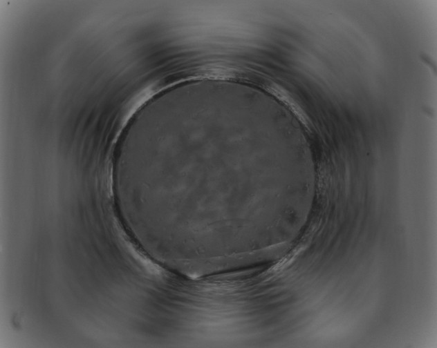 X0000092321083200709141408