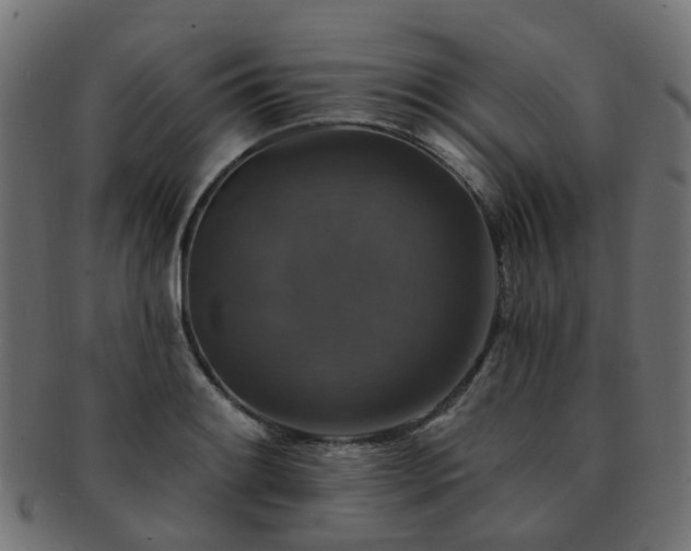 X0000092321084200709141408