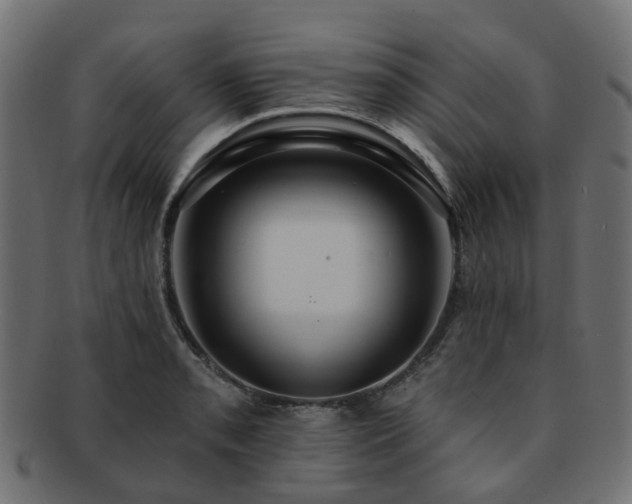 X0000092321085200709141408