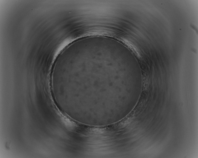 X0000092321086200709141408