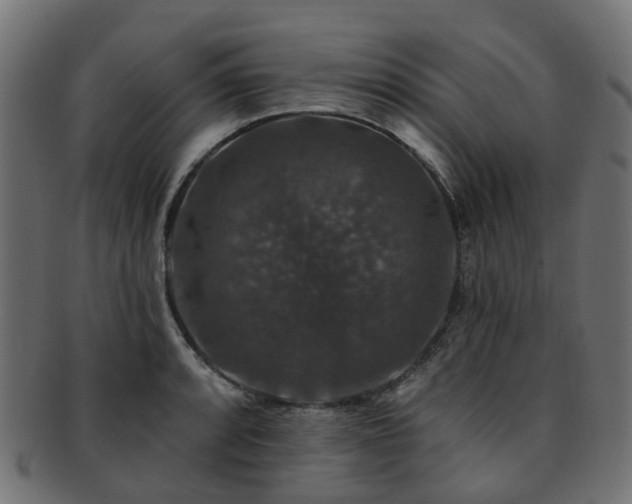 X0000092321088200709141408