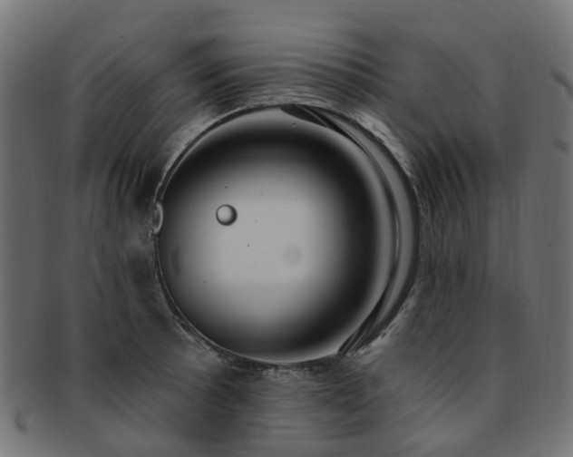 X0000092321089200709141408